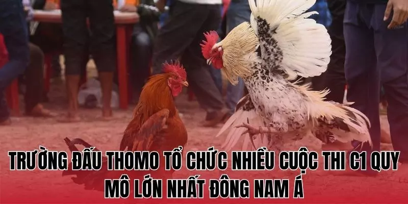 Trường đấu thomo tổ chức nhiều cuộc thi C1 quy mô lớn nhất Đông Nam Á