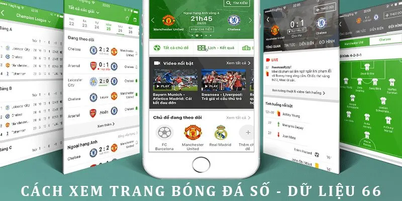 Phương pháp xem dữ liệu đá bóng 66 cơ bản