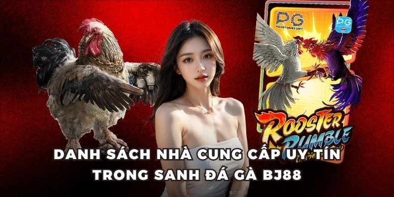 Danh sách nhà cung cấp uy tín trong sanh đá gà BJ88