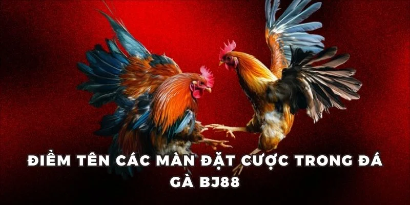 Điểm tên các màn đặt cược trong đá gà BJ88