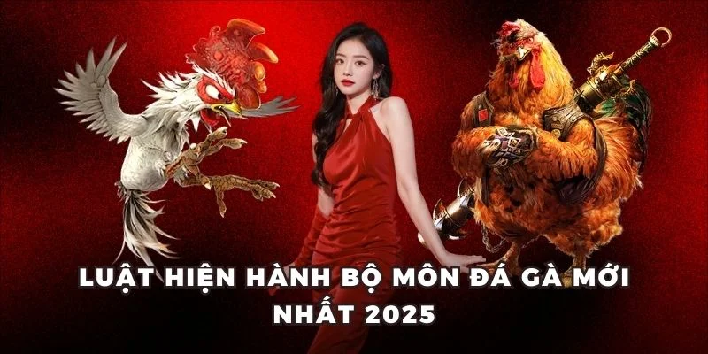 Luật hiện hành bộ môn đá gà mới nhất 2025