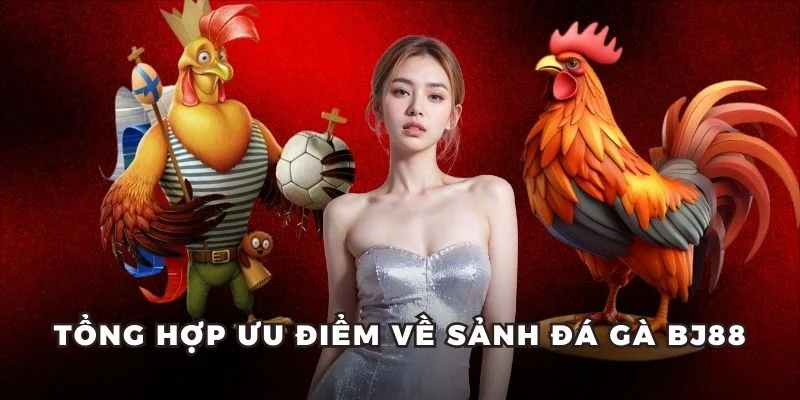 Tổng hợp ưu điểm về sảnh đá gà BJ88