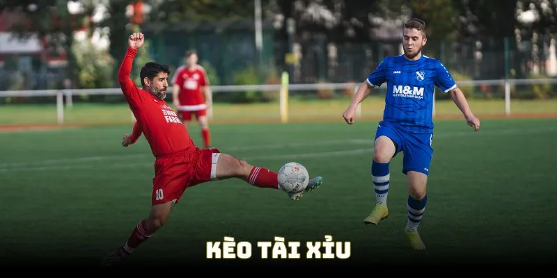 Kèo Tài Xỉu phù hợp cho bạn nếu bạn mới làm quen