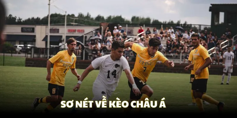 Sơ nét về hình thức cá cược Châu Á thể thao BJ88