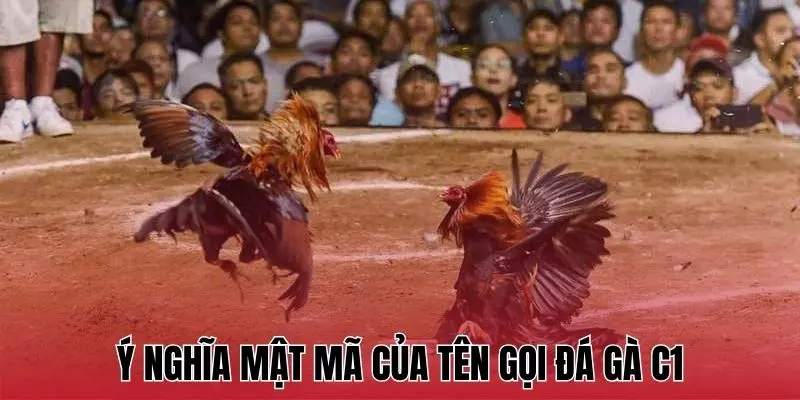 Ý nghĩa mật mã của tên gọi đá gà C1